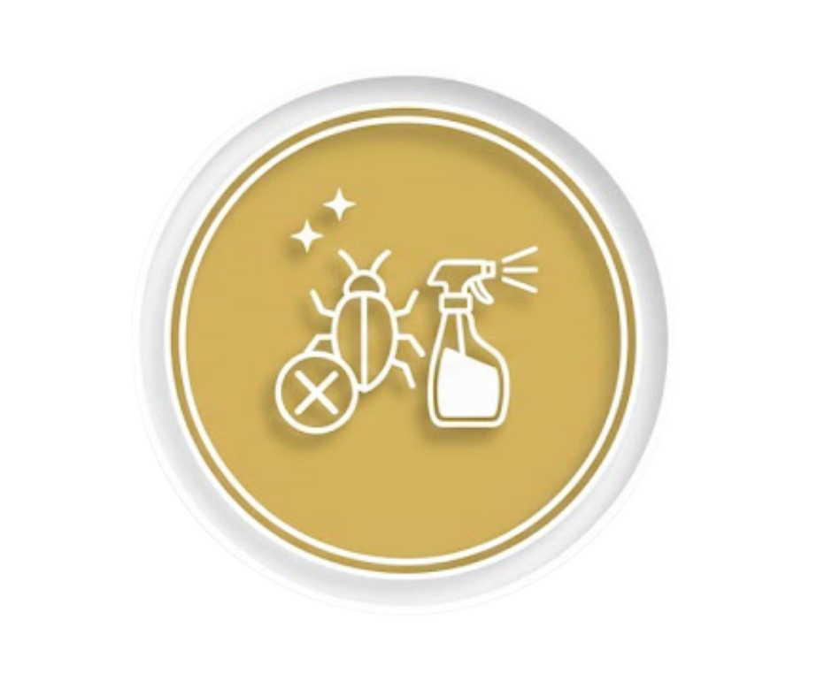 تصميم بدون عنوان 9